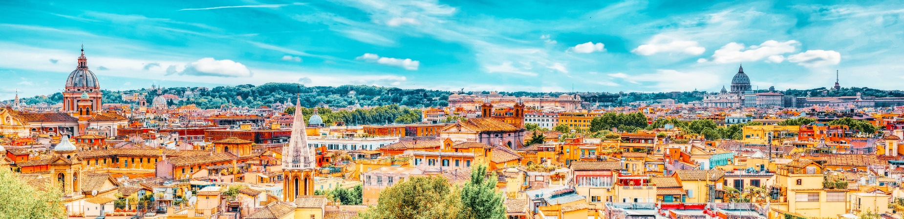 Rome panorama